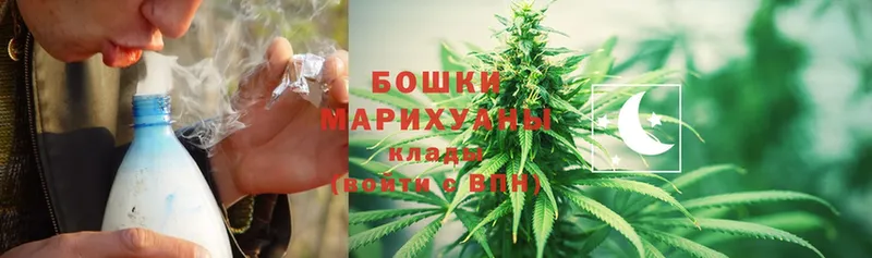 как найти наркотики  Тайга  Бошки марихуана THC 21% 